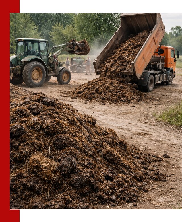 Доставка навоза самосвалами в Угличе для сельхозпотребностей